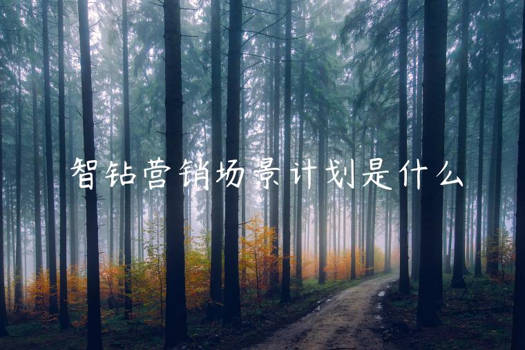 智鉆營(yíng)銷場(chǎng)景計(jì)劃是什么